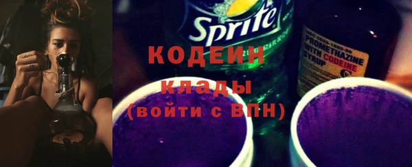 хмурый Осинники