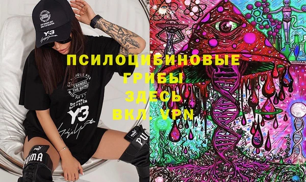 хмурый Осинники
