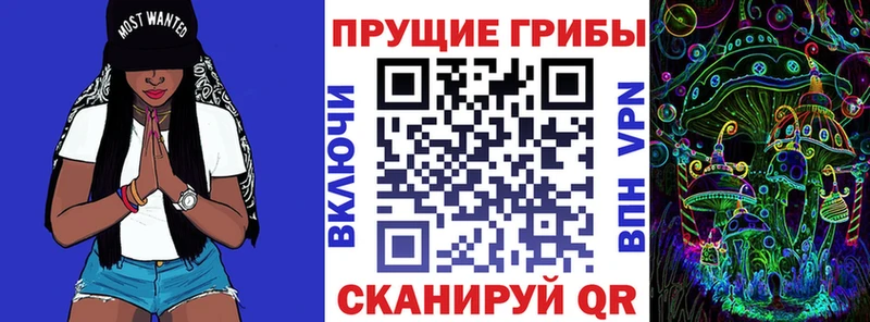 Псилоцибиновые грибы ЛСД  Суоярви 